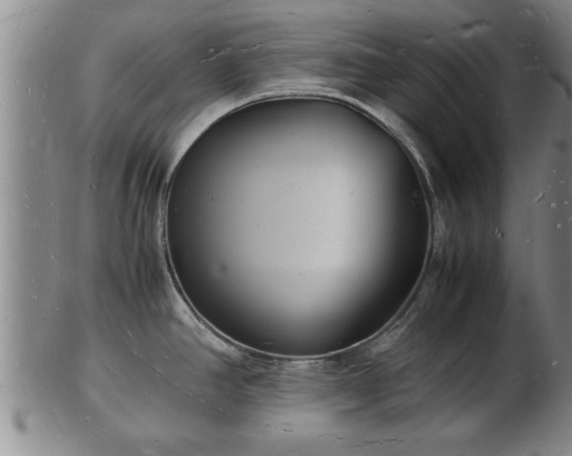 X0000103291390200809051449