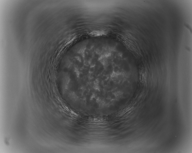 X0000103291393200809051448