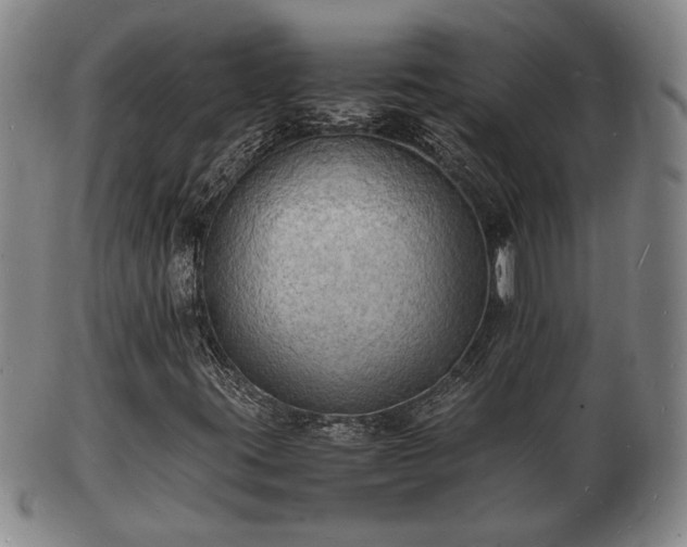 X0000103291395200809051448