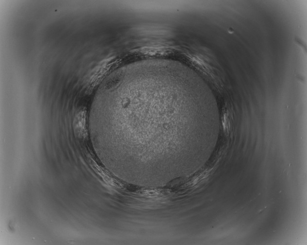 X0000103291396200809051448