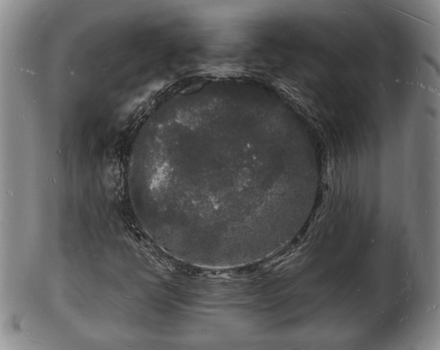 X0000103291398200809051448