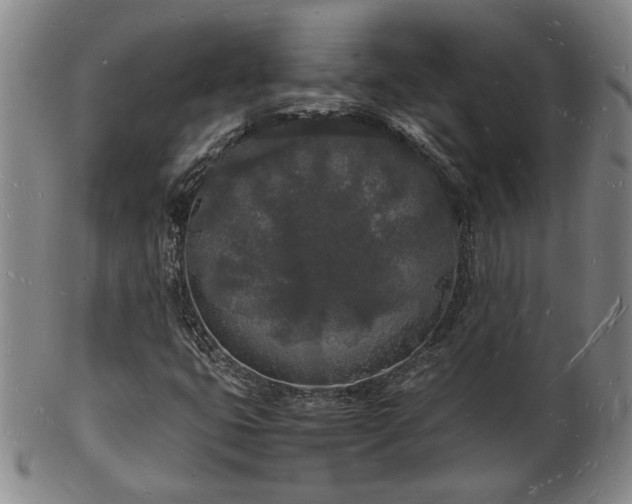 X0000103291399200809051448