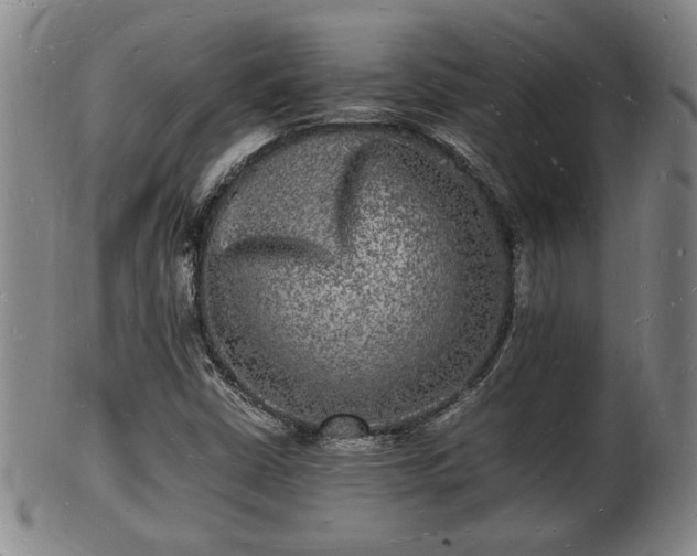 X0000103291402200809051449