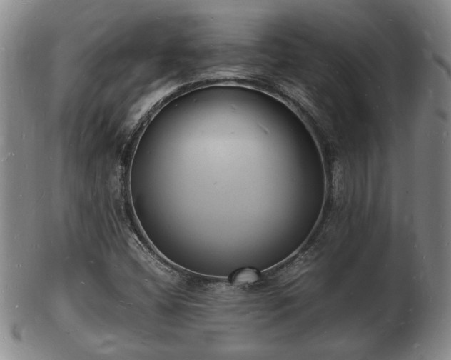 X0000103291404200809051449