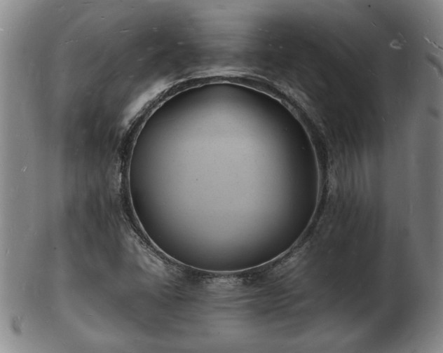 X0000103291406200809051449