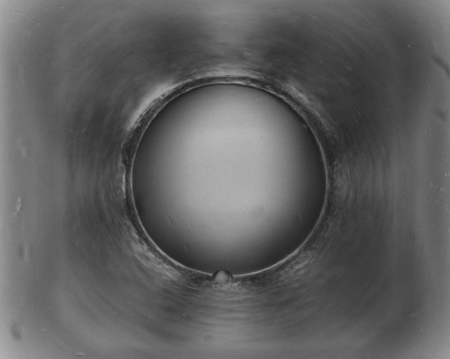 X0000103291408200809051449