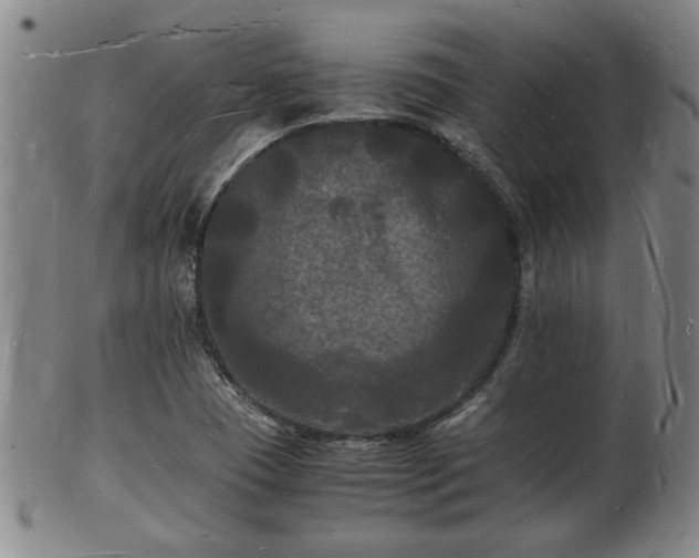 X0000103291409200809051449