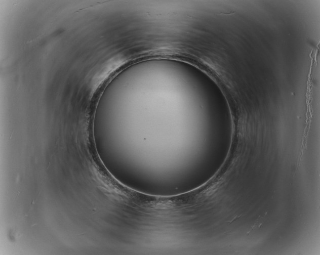 X0000103291410200809051449