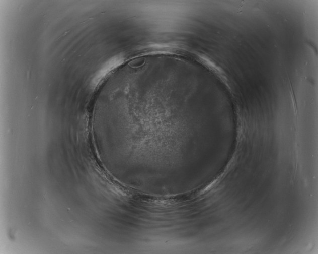 X0000103291411200809051449