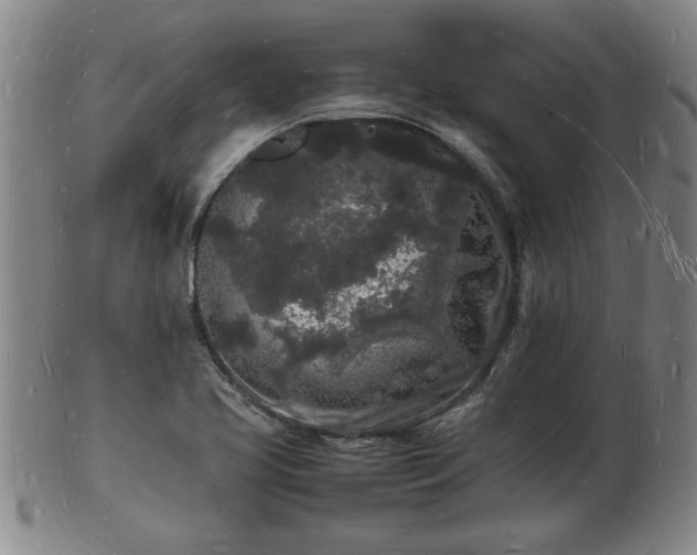 X0000103291413200809051449