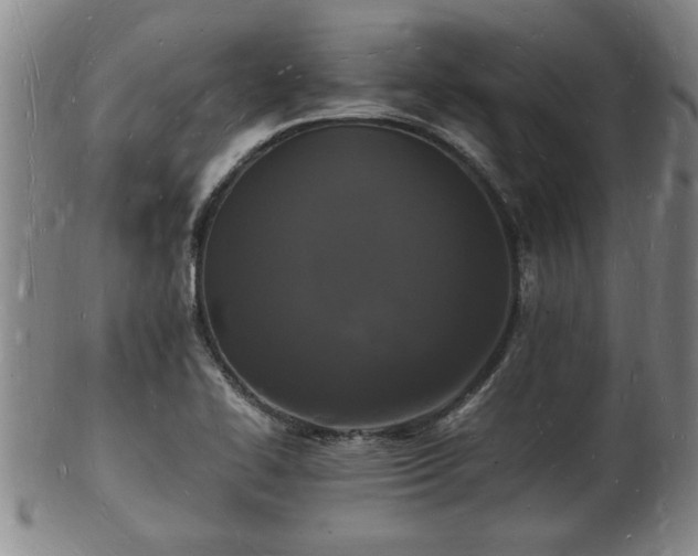 X0000103291414200809051449