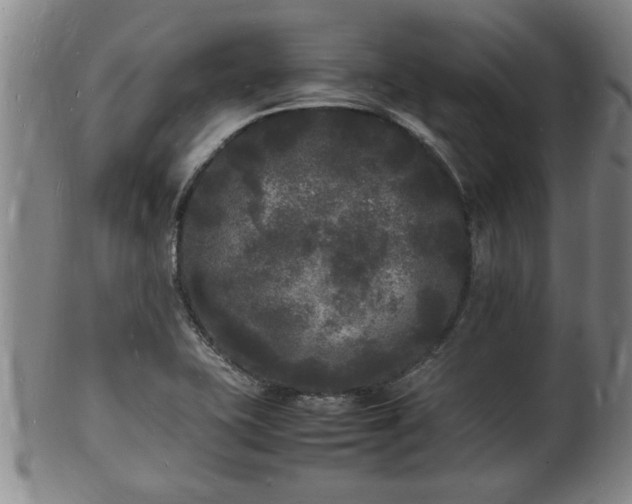 X0000103291415200809051449