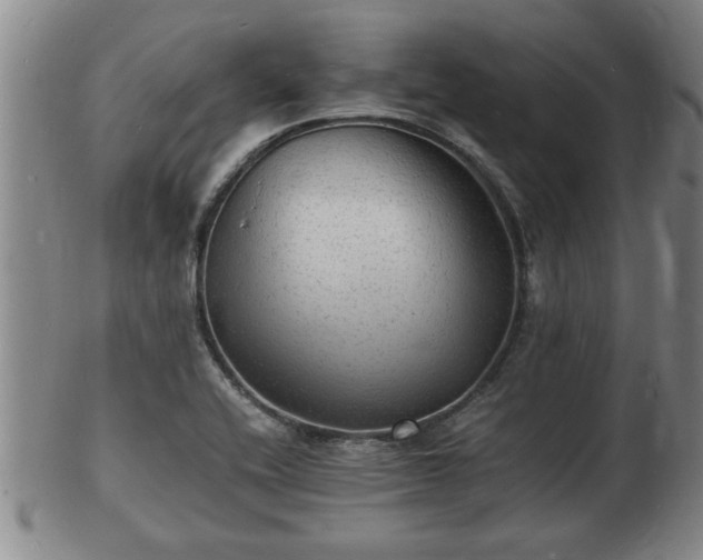 X0000103291416200809051449