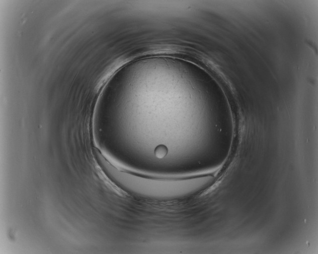 X0000103291417200809051449