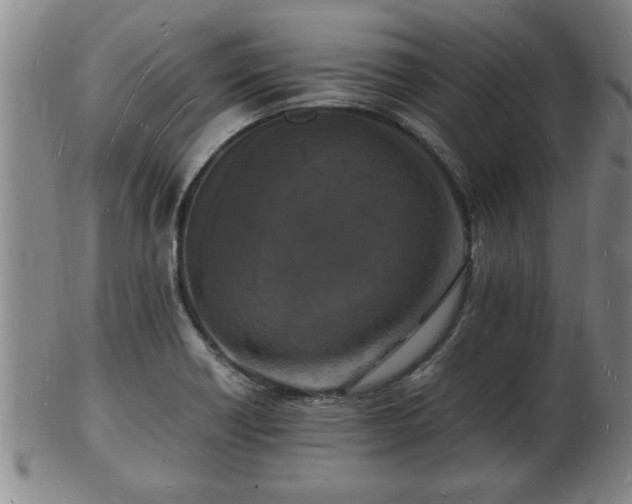 X0000103291418200809051449