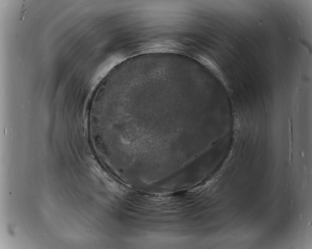 X0000103291419200809051449