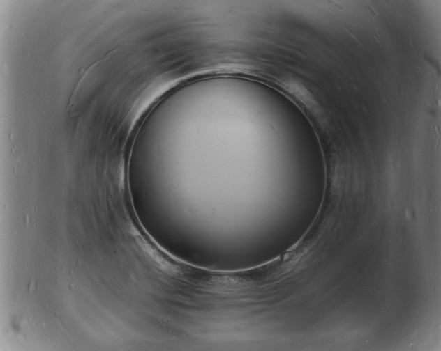 X0000103291420200809051449