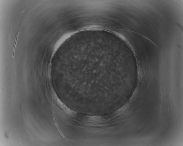 X0000103291421200809051449