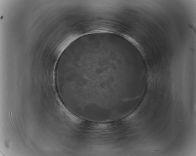 X0000103291423200809051449