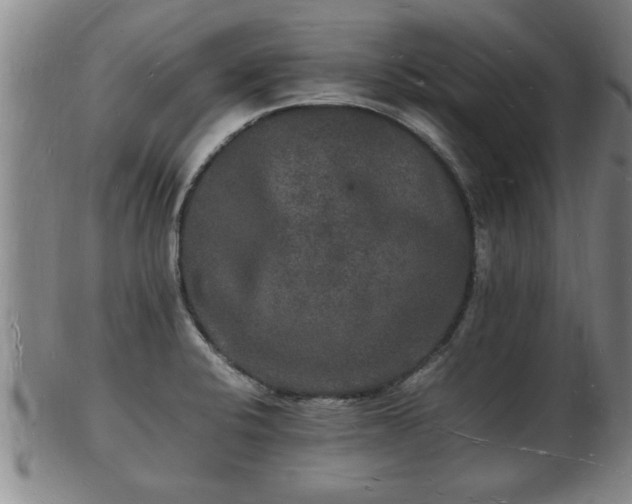 X0000103291424200809051449