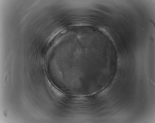 X0000103291425200809051449