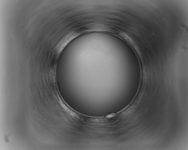 X0000103291433200809051449