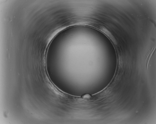 X0000103291436200809051449