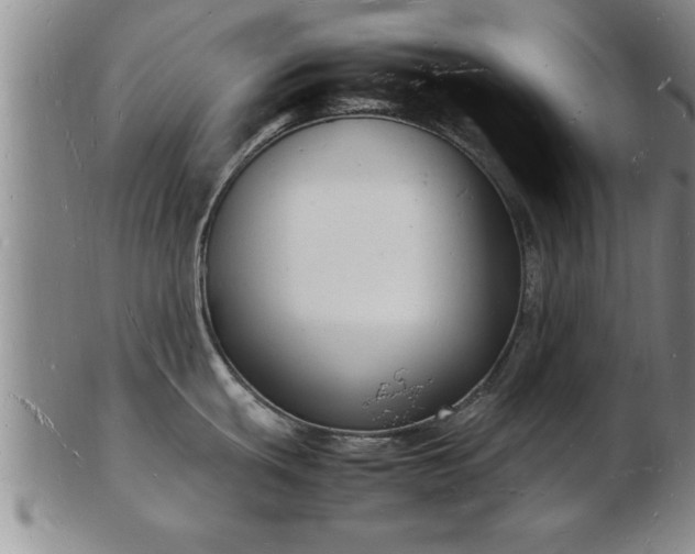 X0000103291439200809051449