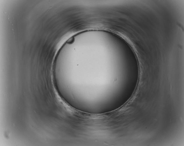 X0000103291440200809051449