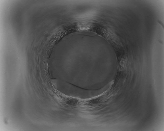 X0000103291441200809051448