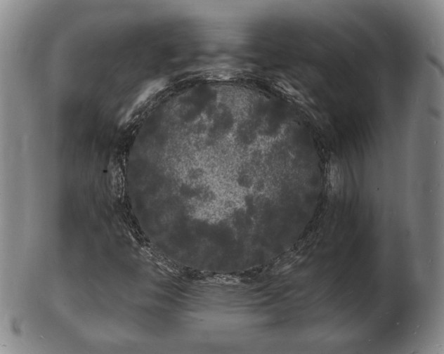 X0000103291446200809051448