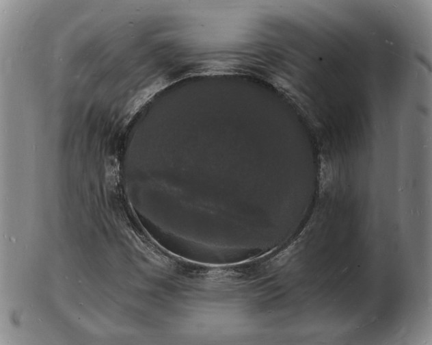 X0000103291449200809051448