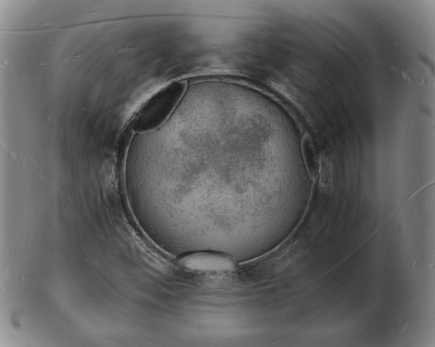 X0000103291452200809051448