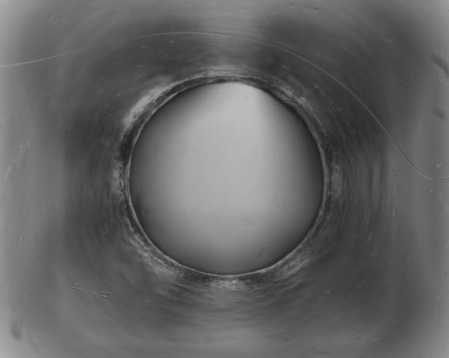 X0000103291454200809051448