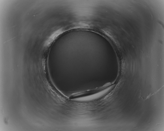 X0000103291455200809051448