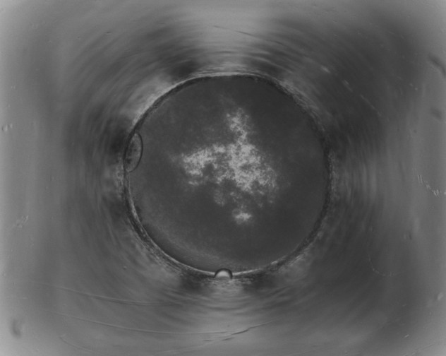 X0000103291457200809051448