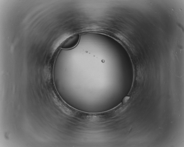 X0000103291458200809051448