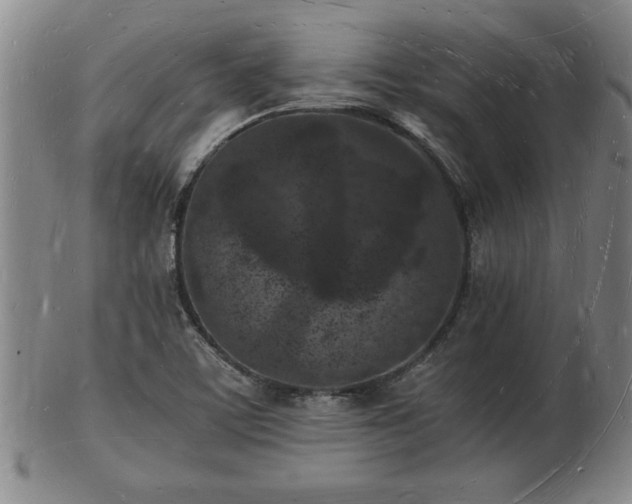 X0000103291459200809051448