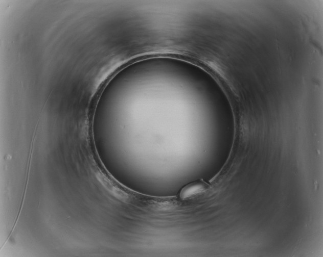 X0000103291460200809051448