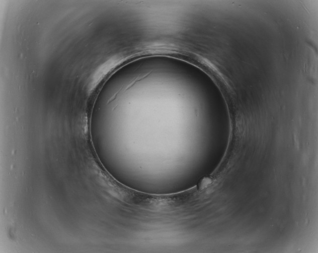 X0000103291461200809051448