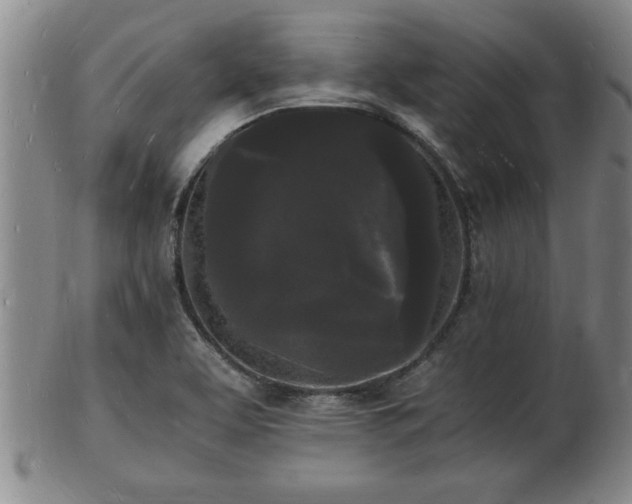 X0000103291463200809051448