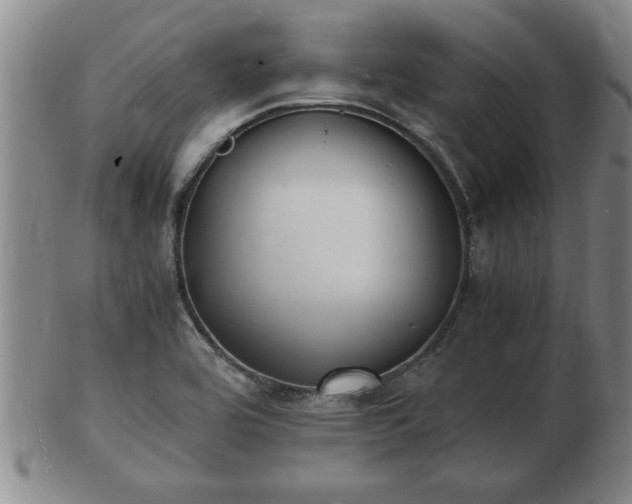 X0000103291464200809051448