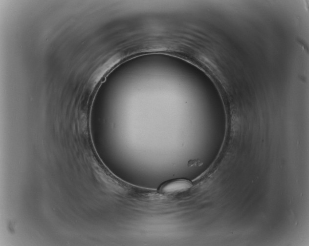 X0000103291465200809051448