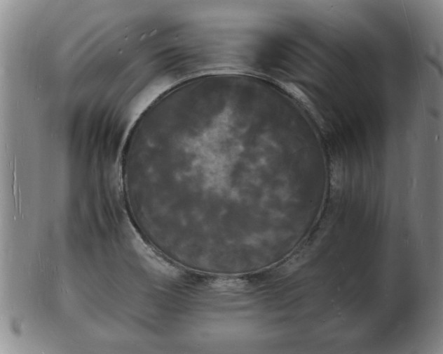 X0000103291466200809051448