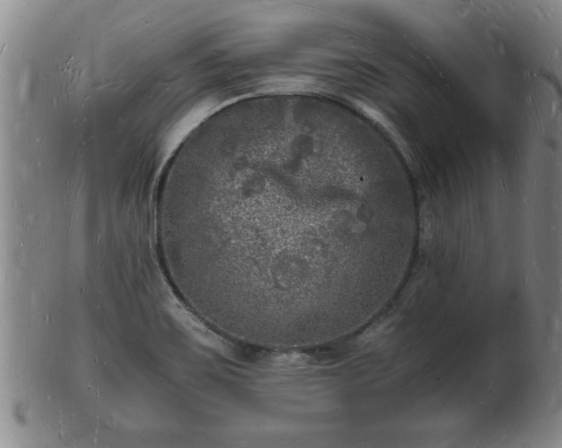 X0000103291467200809051448