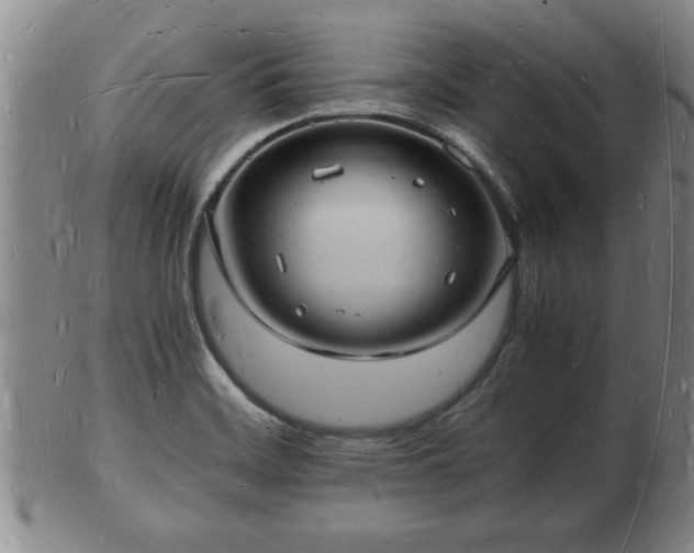 X0000103291468200809051448