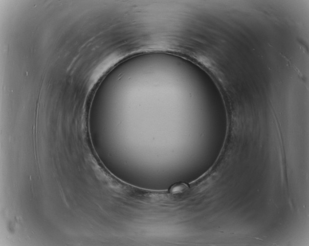 X0000103291469200809051448