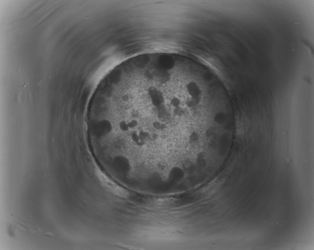 X0000103291471200809051448