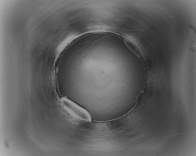 X0000103291472200809051448