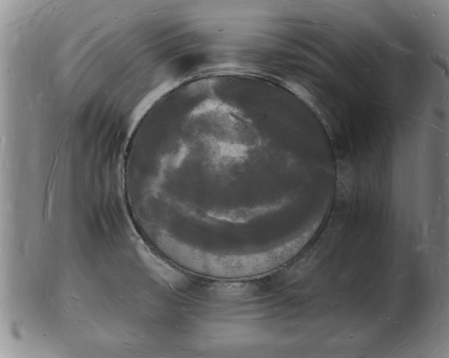 X0000103291474200809051448